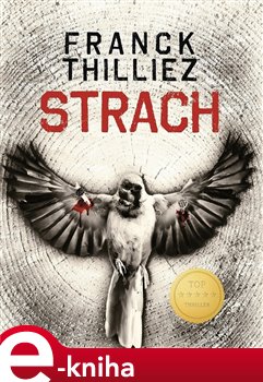 Levně Strach - Franck Thilliez
