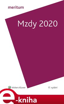 Levně Mzdy 2020. Meritum - kolektiv