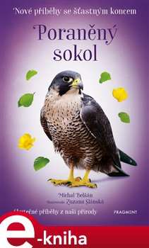 Levně Nové příběhy se šťastným koncem – Poraněný sokol - Michal Belšán