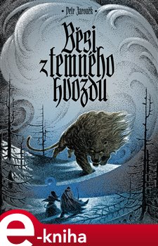 Levně Běsi z temného hvozdu - Petr Jaroněk
