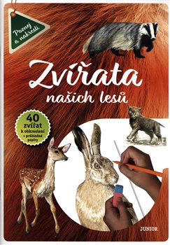 Levně Zvířata našich lesů - Vědomosti i zábava v jednom