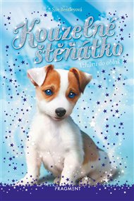 Kouzelné štěňátko - Vzhůru do oblak - Sue Bentleyová