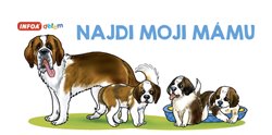 Levně Najdi moji mámu