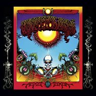 Aoxomoxoa -  Grateful Dead