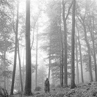 Taylor Swift: Folklore LP (2 LP) - Taylor Swift