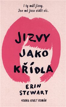 Levně Jizvy jako křídla - Erin Stewart