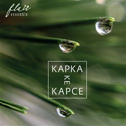 Levně Kapka ke kapce - Flair