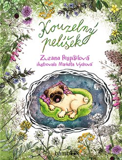 Kouzelný pelíšek koupíte na Kosmas.cz