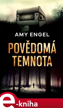 Levně Povědomá temnota - Amy Engelová