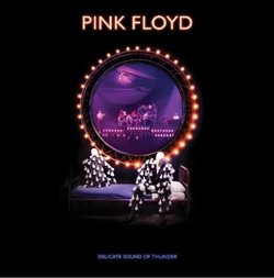 Levně Delicate Sound of Thunder - Pink Floyd