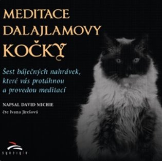 Meditace dalajlamovy kočky, mp3 - David Michie