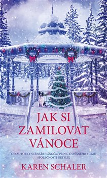 Levně Jak si zamilovat Vánoce - Karen Schaler