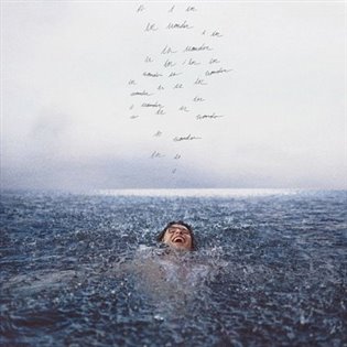 Shawn Mendes: Wonder LP - Shawn Mendes