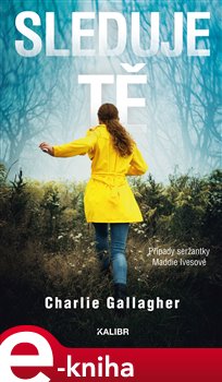 Levně Sleduje tě - Charlie Gallagher