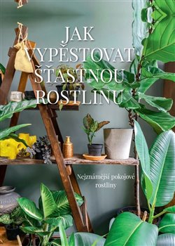 Levně Jak vypěstovat šťastnou rostlinu. Nejznámější pokojové rostliny - Malgorzata Augustynová