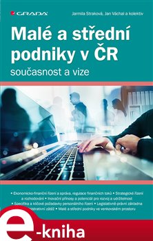 Levně Malé a střední podniky v ČR – současnost a vize - Jarmila Straková