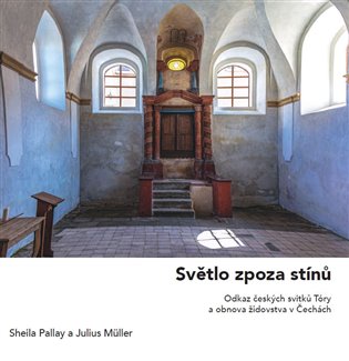 Světlo zpoza stínů - Sheila Pallay, Julius Müller