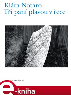 Levně Tři paní plavou v řece - Klára Notaro