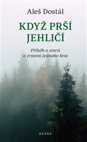 Když prší jehličí - Aleš Dostál