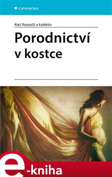 Levně Porodnictví v kostce - Aleš Roztočil, kolektiv