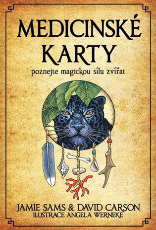 Medicinské karty (Kniha a 52 karet) - Jamie Sams, David Carson