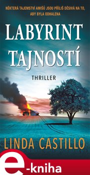 Levně Labyrint tajností - Linda Castillo