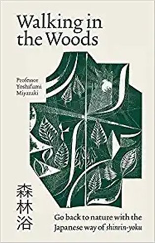 Walking in the Woods - Yoshifumi Miyazaki