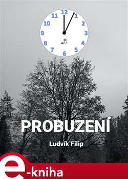 Levně Probuzení - Ludvík Filip