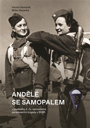 Andělé se samopalem - Václav Kameník, Milan Kopecký
