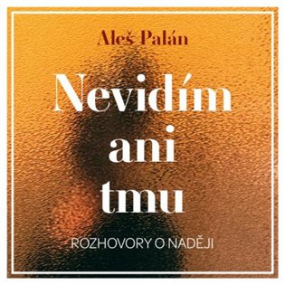 Nevidím ani tmu, mp3 - Aleš Palán