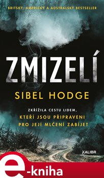 Levně Zmizelí - Sibel Hodge