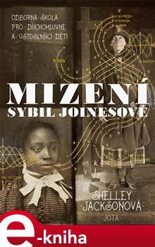 Levně Mizení Sybil Joinesové - Shelley Jacksonová