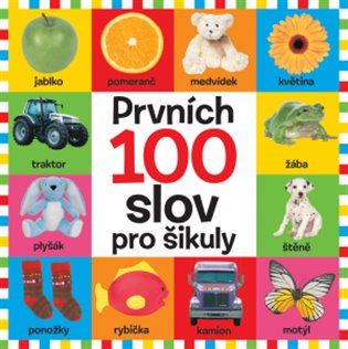 Prvních 100 slov pro šikuly - 