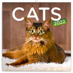 Levně Poznámkový kalendář Cats 2022