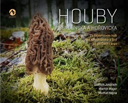 Levně Houby Berounska a Hořovicka. Za tajemstvím hub od Křivoklátska a Brd až po Český kras - Martin Majer, Oldřich Jindřich, Michal Hejna
