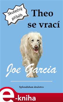 Levně Theo se vrací - Joe Garcia