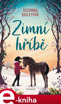 Levně Zimní hříbě - Susanna Baileyová