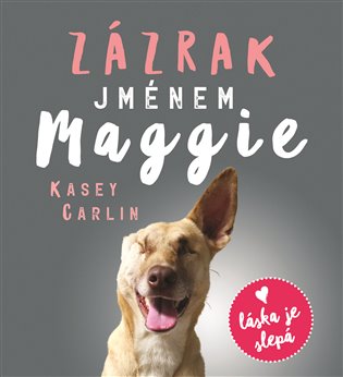 Zázrak jménem Maggie, mp3 - Kasey Carlin