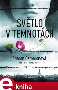 Levně Světlo v temnotách - Sharon Cameronová