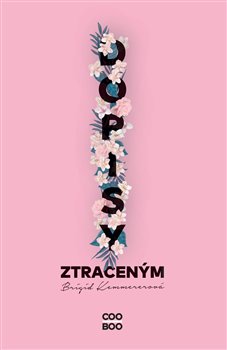 Dopisy ztraceným koupíte na Kosmas.cz