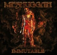 Immutable -  Meshuggah