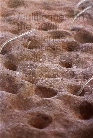 Multilogues on the Now: On Glands, Membranes and Cavities - Zuzana Jakalová, Hana Janečková