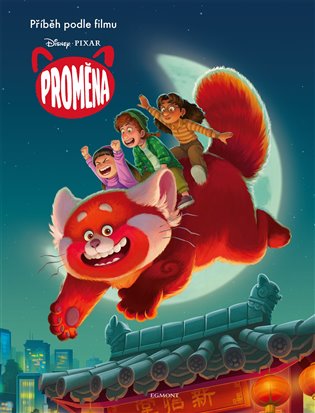 Proměna - Příběh podle filmu - Suzanne Francis