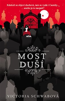 Most duší (český jazyk) koupíte na Kosmas.cz