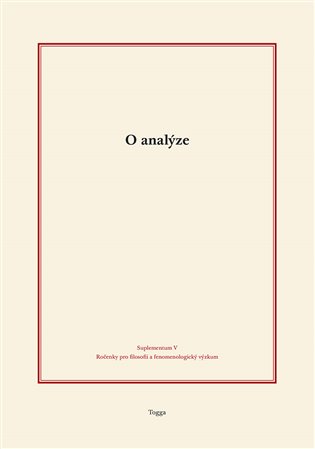 O analýze - Tomáš Holeček