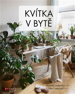 Kvítka v bytě koupíte na Kosmas.cz