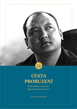 Cesta probuzení koupíte na Kosmas.cz