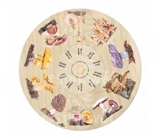 Otočné kolo přiřaď jedlé houby - 