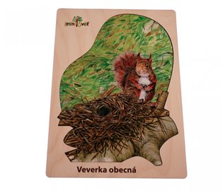 Puzzle z lesa - veverka - 