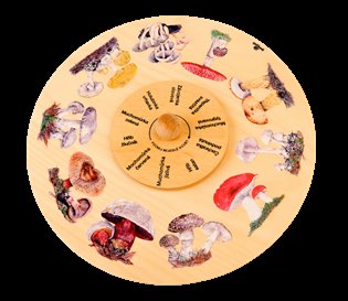 Otočné kolo - Přiřaď houby nejedlé! - 